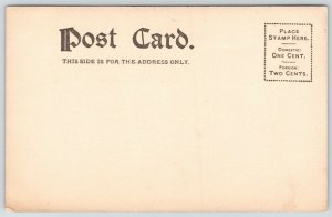 Sioux City Iowa~12 Multi Mini Views~Main Street~Hotel~Monument~Black Back~1906