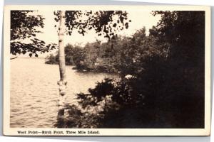 Three Mile Island Camp, Lake Winniposaukee NH, West Point Birch Postcard H22