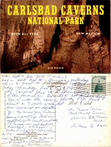 Carlsbad Caverns National Park, New Mexico (4862