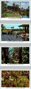 4 Postcards NAPLES, Florida FL ~ Pavilion CARIBBEAN GARDENS Orchids c1960s