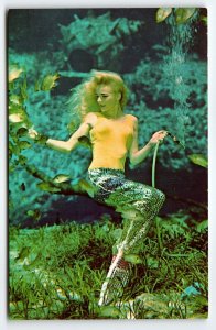 Weeki Wachee Florida Postcard Blonde Mermaid Underwater Show Chrome Unused
