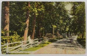 PA Carlisle View on Road Near Carlisle Woman on Fence c1910 Postcard R8