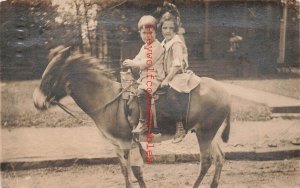 Children on Donkey, RPPC