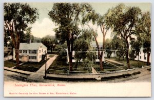 Kennebunk Maine~Panorama~Well-Wired Lexington Elms~Big Homes~Telephone Pole 1905