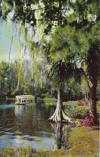 Florida Silver Spring Florida's Silver Springs Famed Underwater Fairyland