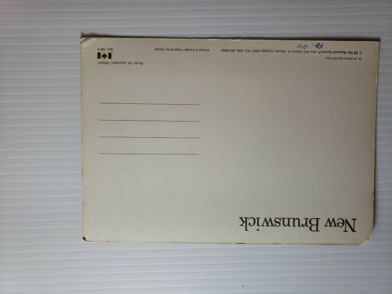 VTG Postcard St Andrews By The Sea New Brunswick Canada 1990 unposted