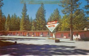 MANZANITA MOTEL Tahoe Valley LAKE TAHOE Roadside c1960s Rare Vintage Postcard