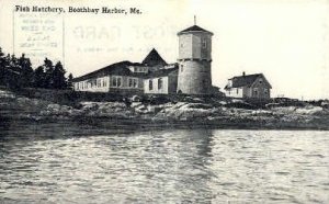 Fish Hatchery in Boothbay Harbor, Maine