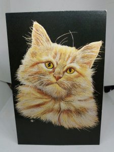 Honey for John & Jo Taylor Ginger Cat Postcard by Elizabeth Titcomb