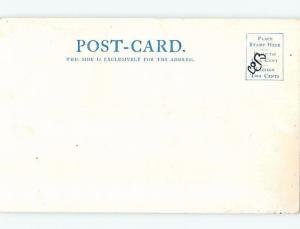 Pre-1907 PARK SCENE Denver Colorado CO hp9684