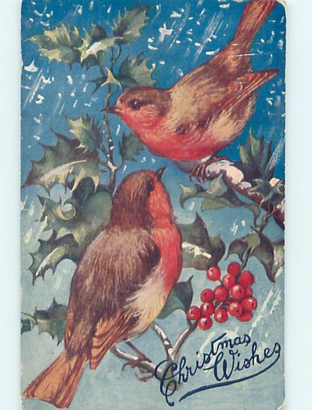 Pre-Linen christmas BEAUTIFUL LARGE BIRDS SITTING ON HOLLY BRANCH hr2870