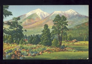 Flagstaff, Arizona/AZ Postcard, San Francisco Peaks, Navajo Reservation