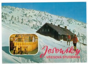 Czechoslovakia 1975 Unused Postcard Jesenik Mountains Winter Springs Skiing