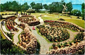 All American Rose Display Cypress Gardens Postcard VTG UNP Vintage Unused 