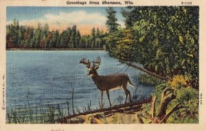 Postcard Greetings Shawano WI