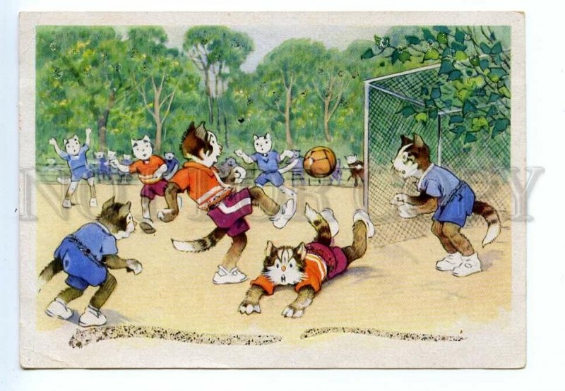 495750 Germany cats play football soccer applique Vintage postcard