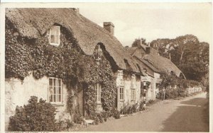 Isle of Wight Postcard - Brighstone Village - Ref TZ4018