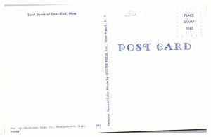 Postcard NATURE SCENE Cape Cod Massachusetts MA AU6559