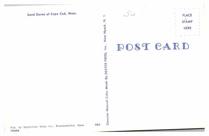 Postcard NATURE SCENE Cape Cod Massachusetts MA AU6559