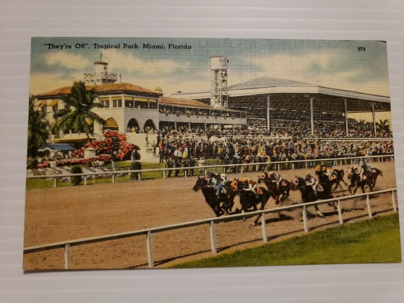 Vintage Postcard Tropical Park Gables Horse Racing Association Miami Florida 472