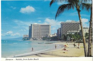 Sheraton Waikiki Hotel as Seen From Kuhio Beach Waikiki Oahu Hawaii 4 by 6