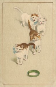 PC CATS, FOUR CATS AND A BOWL OF MILK, Vintage Postcard (b47106)