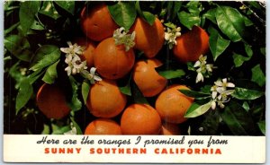 Postcard - Oranges from Sunny Southern California, USA