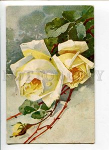 402729 Yellow ROSES w/ Dew by C. KLEIN vintage Russian PC