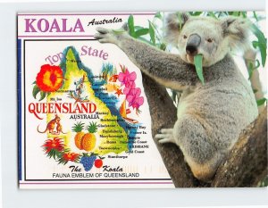 Postcard Koala Australia