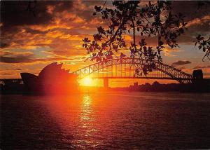 BR102011 sydney opera house and harbour bridge by night   australia