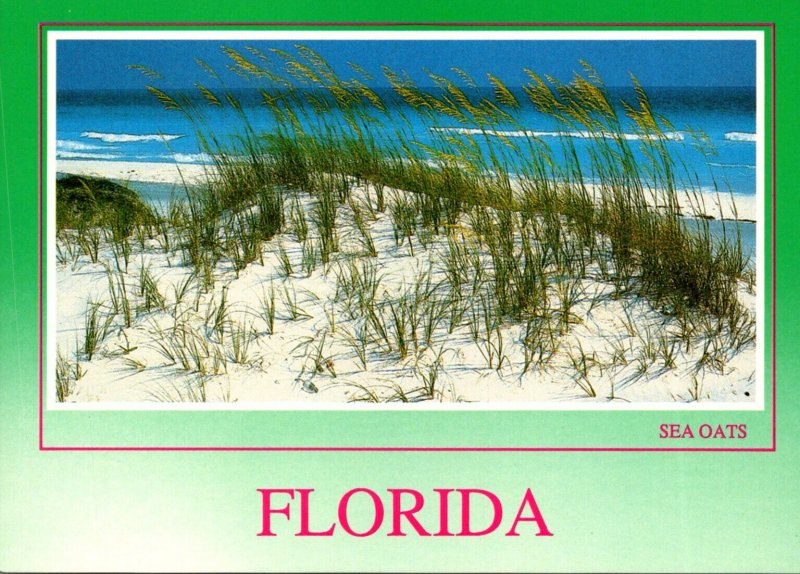 Florida Beach View With Sea Oats and Sand Dunes