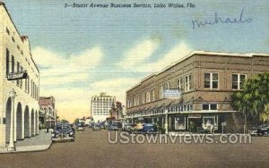 Stuart Ave - Lake Wales, Florida FL