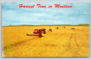 Farming~Harvest Time On Montana~Harvesters In Wheat Field Photo~Vintage Postcard