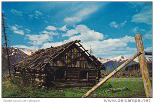 Alaska Cantwell Old Abandoned Trapper's Cabin