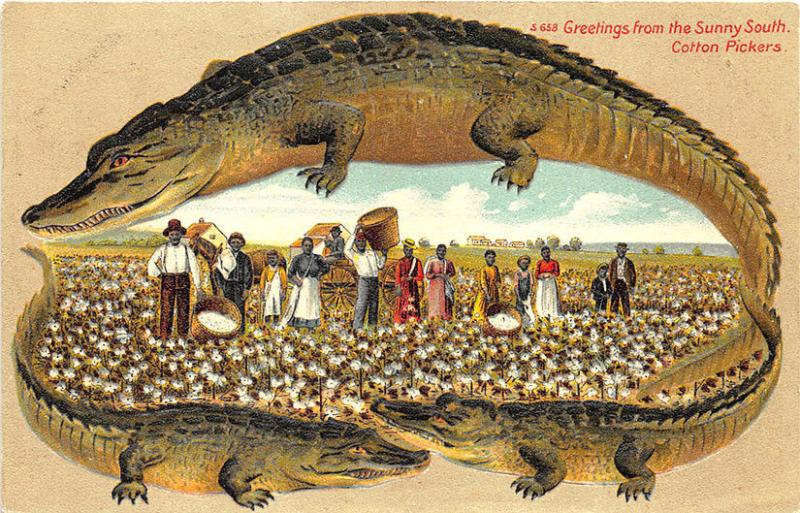 S. Langsdorf Alligator Greetings Sunny South Cotton Pickers Postcard