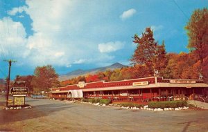 Franconia Notch New Hampshire Longhorn Palace Vintage Postcard AA49286