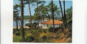 BF29235 hossegor landes le lac marin a travers les pins spain   front/back image
