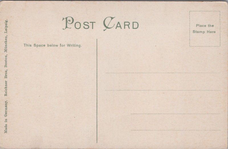 Park Point Duluth Minnesota Vintage Postcard C039