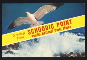 Winter Harbor, Schoodic Point, Maine/ME Postcard, Greetings From Acadia Park