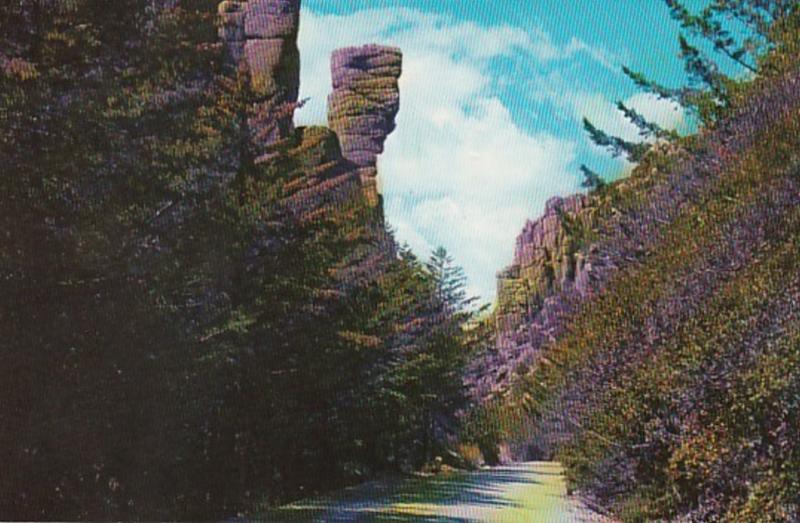 Arizona Chiricahua National Monument China Boy Natural Rock Formation