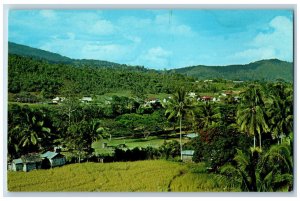 Sabah East Malaysia Postcard Rural Kampong in Ranau Mt. Kinabalu c1950's