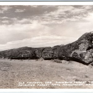 c1940s Petrified Forest, AZ Rainbow Forest Trail Old Faithful Log Postcard A29