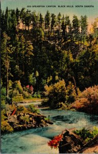 Vtg 1930s Spearfish Canyon Creek Black Hills South Dakota SD Unused Postcard