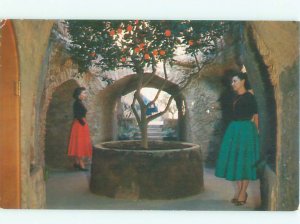 Pre-1980 GARDEN SCENE Fresno California CA AF6435