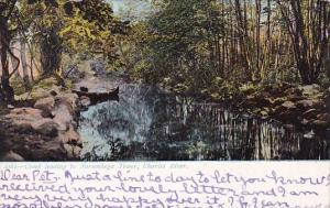 Creek Leading To Norumbega Tower Charles River Massacusetts 1908