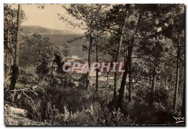 Old Postcard La Cote D Azur Cavalaire Good Perlo