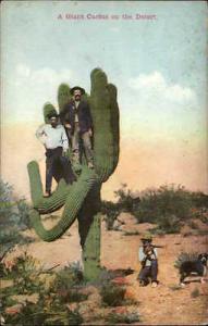NM or Arizona Men Standing on Giant Cactus - Dog Gun etc 