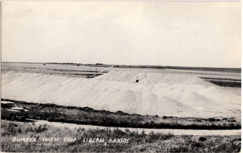 Old LIBERAL Kansas Kans Ks Real Photo RPPC Postcard BUMPER WHEAT CROP K72