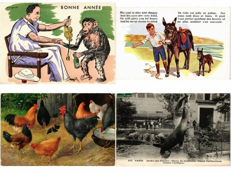 ANIMALS ANIMAUX MIX 300 CPA Pre - 1940