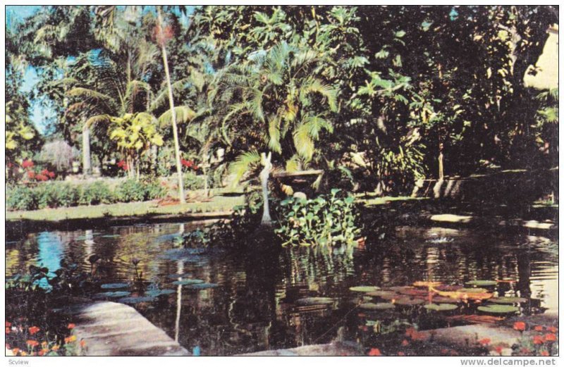 Sun Set Gardens,St.James,Barbados,40-60s